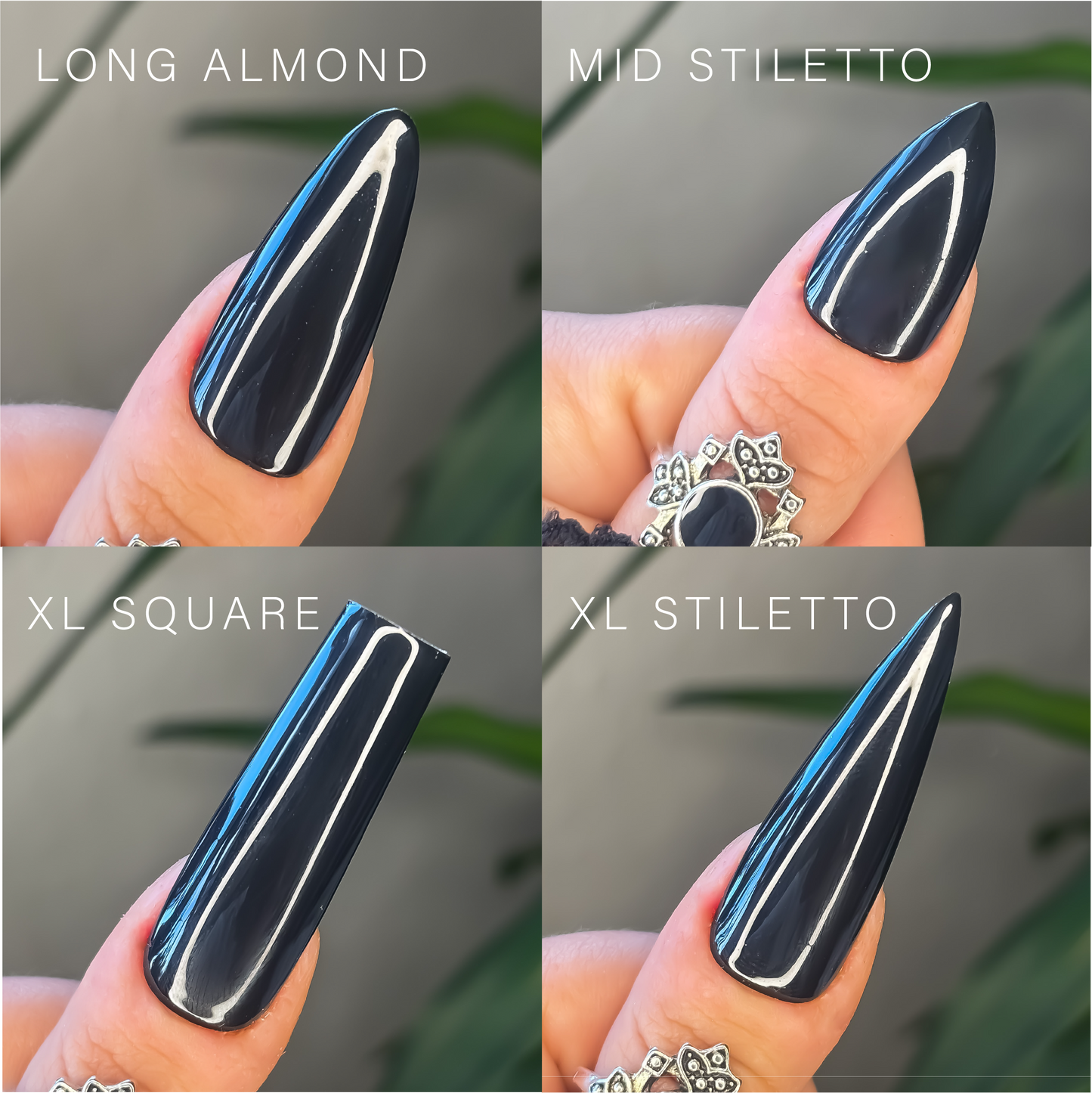 The Midnight Bloom Set