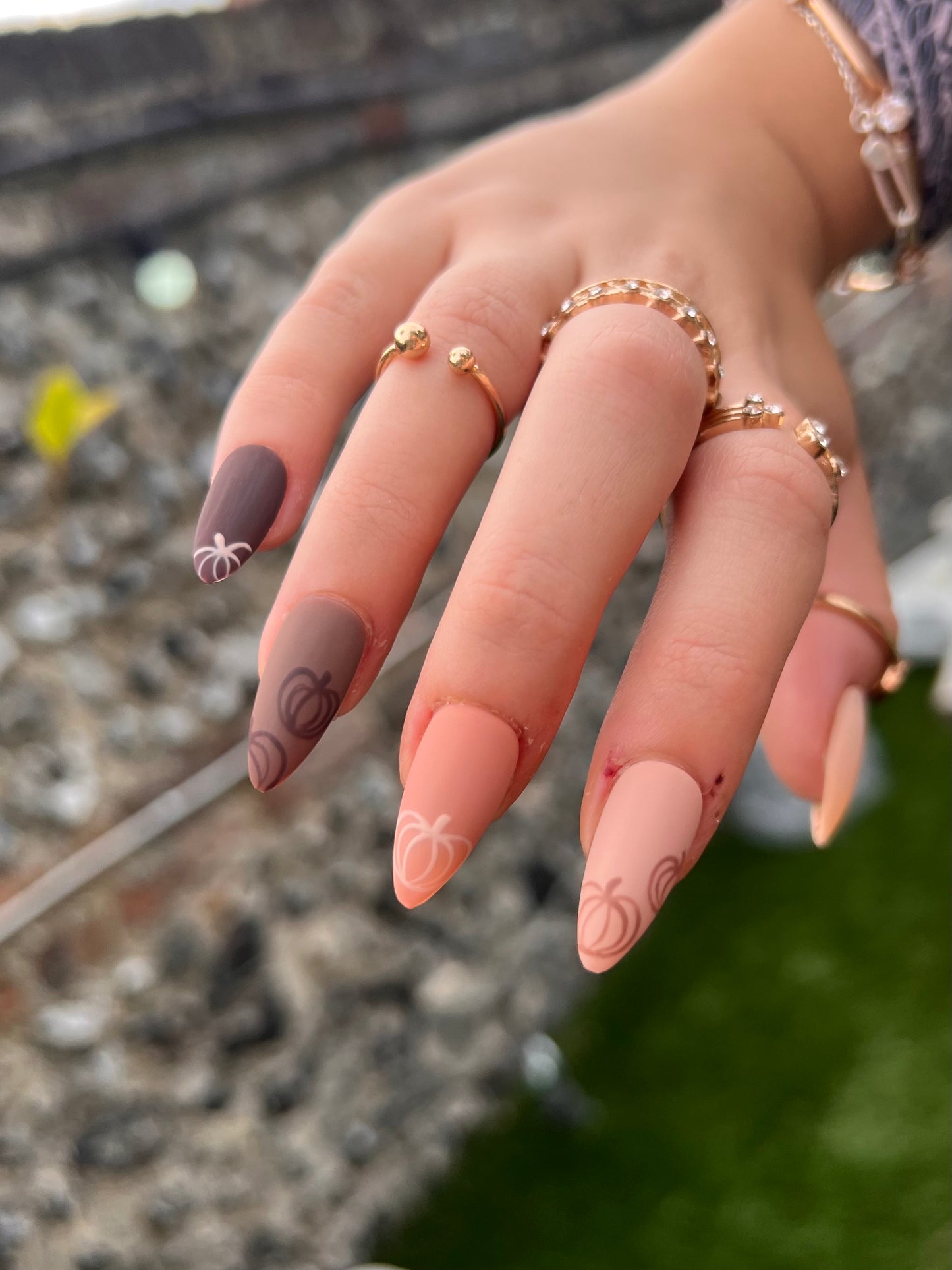 The Pretty Pumpkin Set