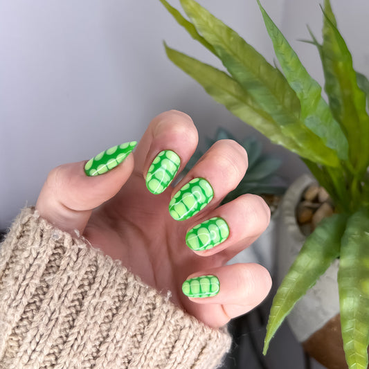 The Green Croc Set