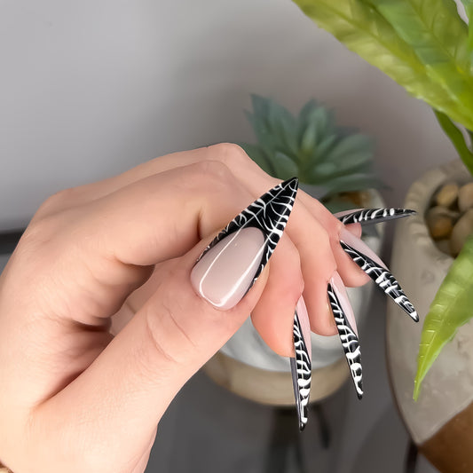 The Original Zebra French Tip Set