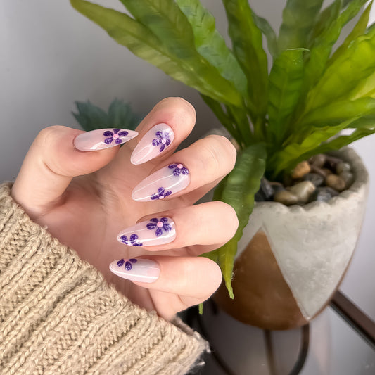 The Purple Daisy Set